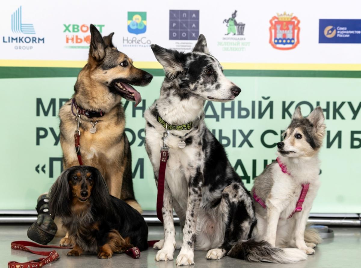 Объявляем победителей «Народного голосования»!